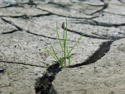 Deconstructing the Dry Season in My Faith | Writer Unfocused