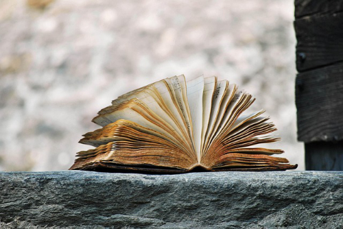 An open book sitting on a stone wall. Its pages are fanned open.